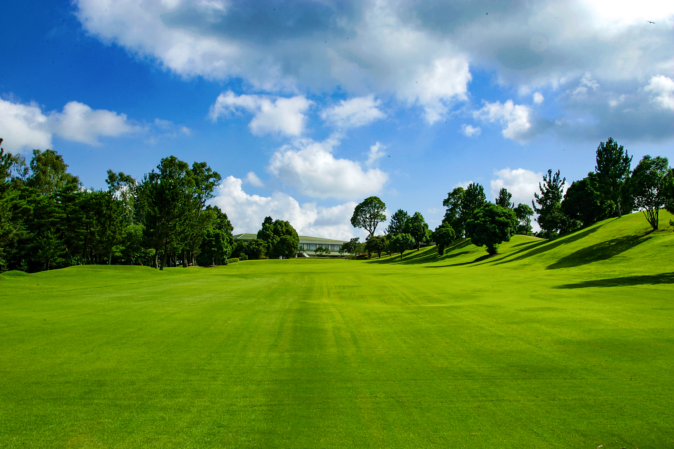 一宮コースNo.1のイメージ