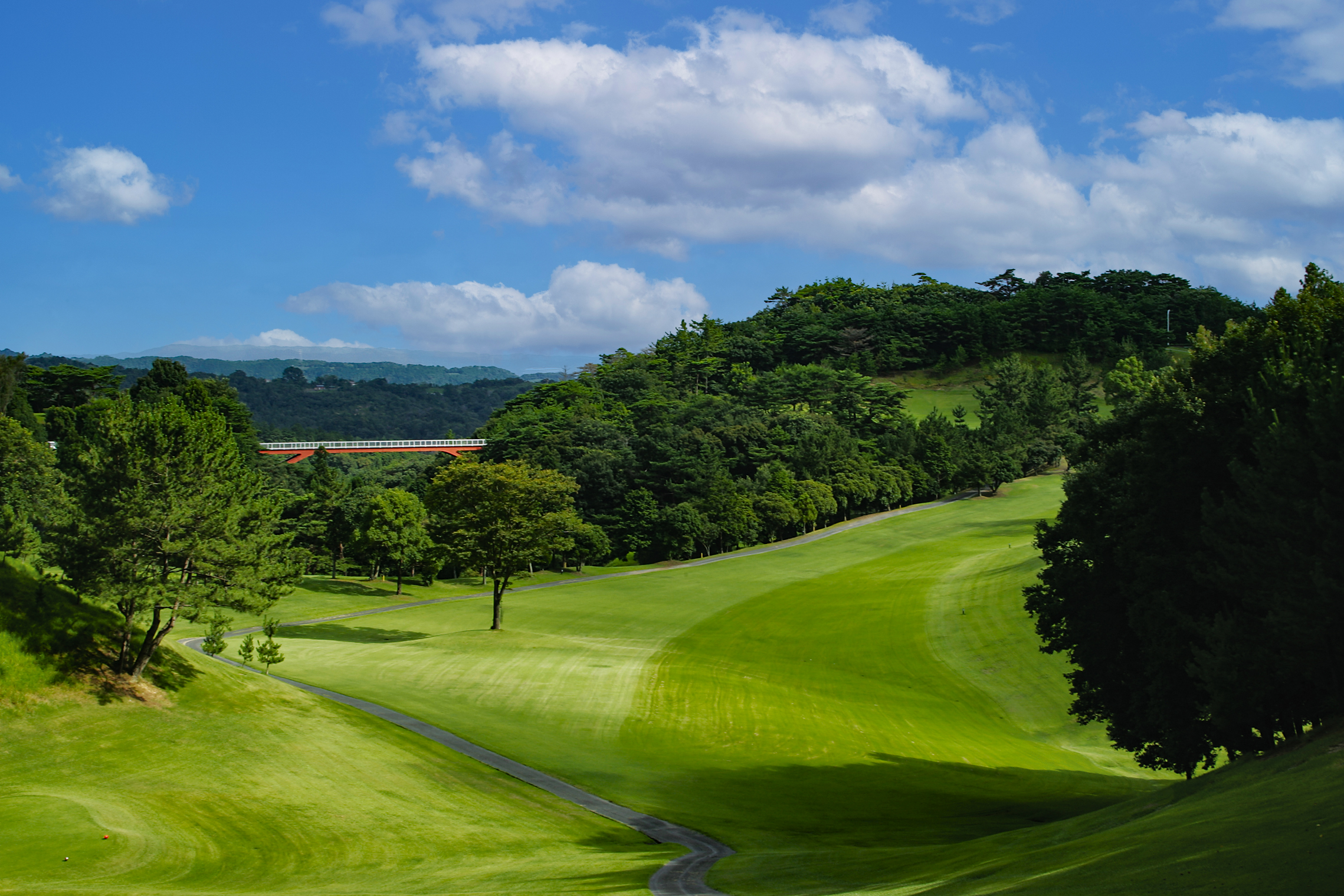 一宮コースNo.2のイメージ