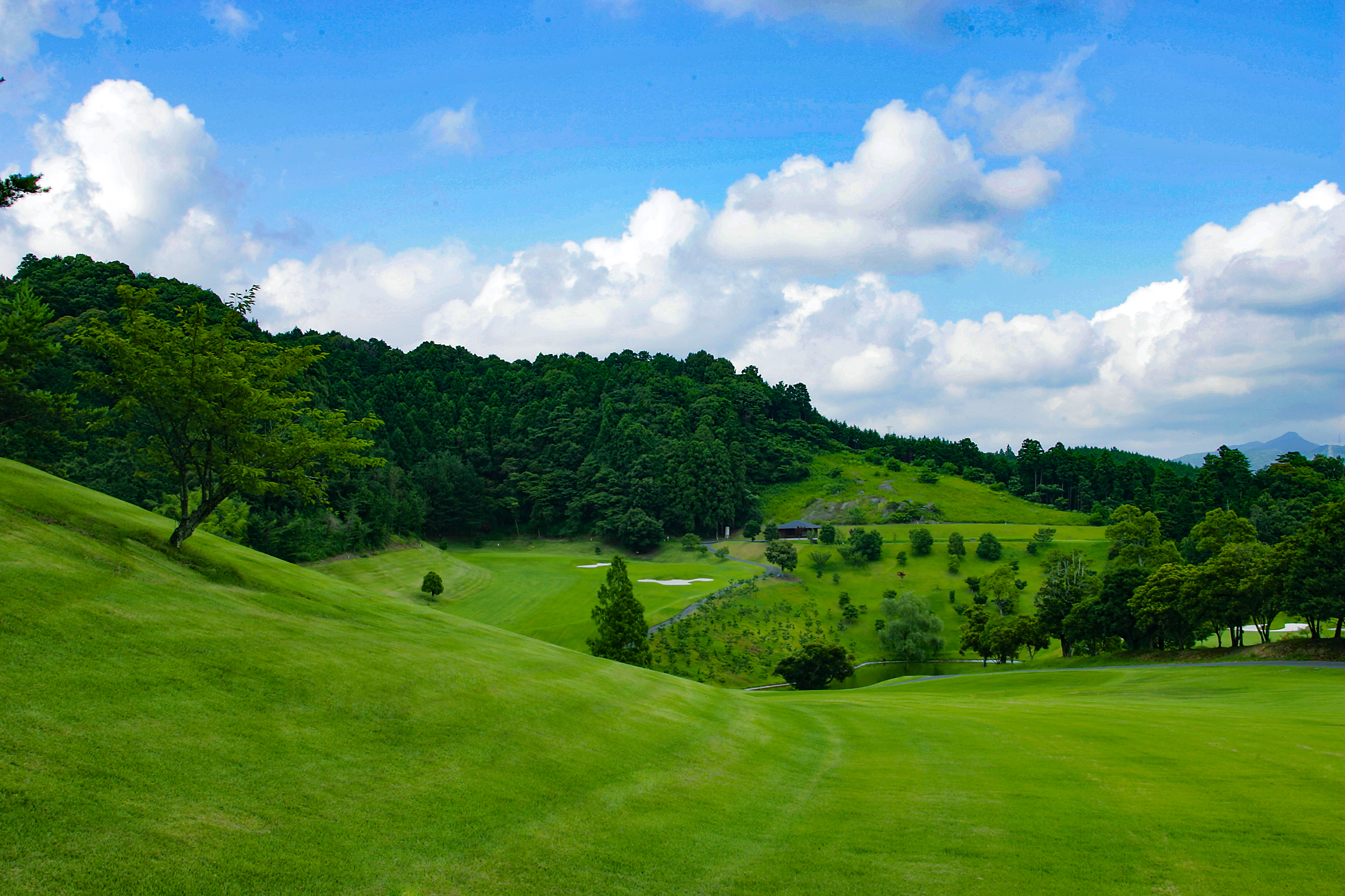 一宮コースNo.5のイメージ