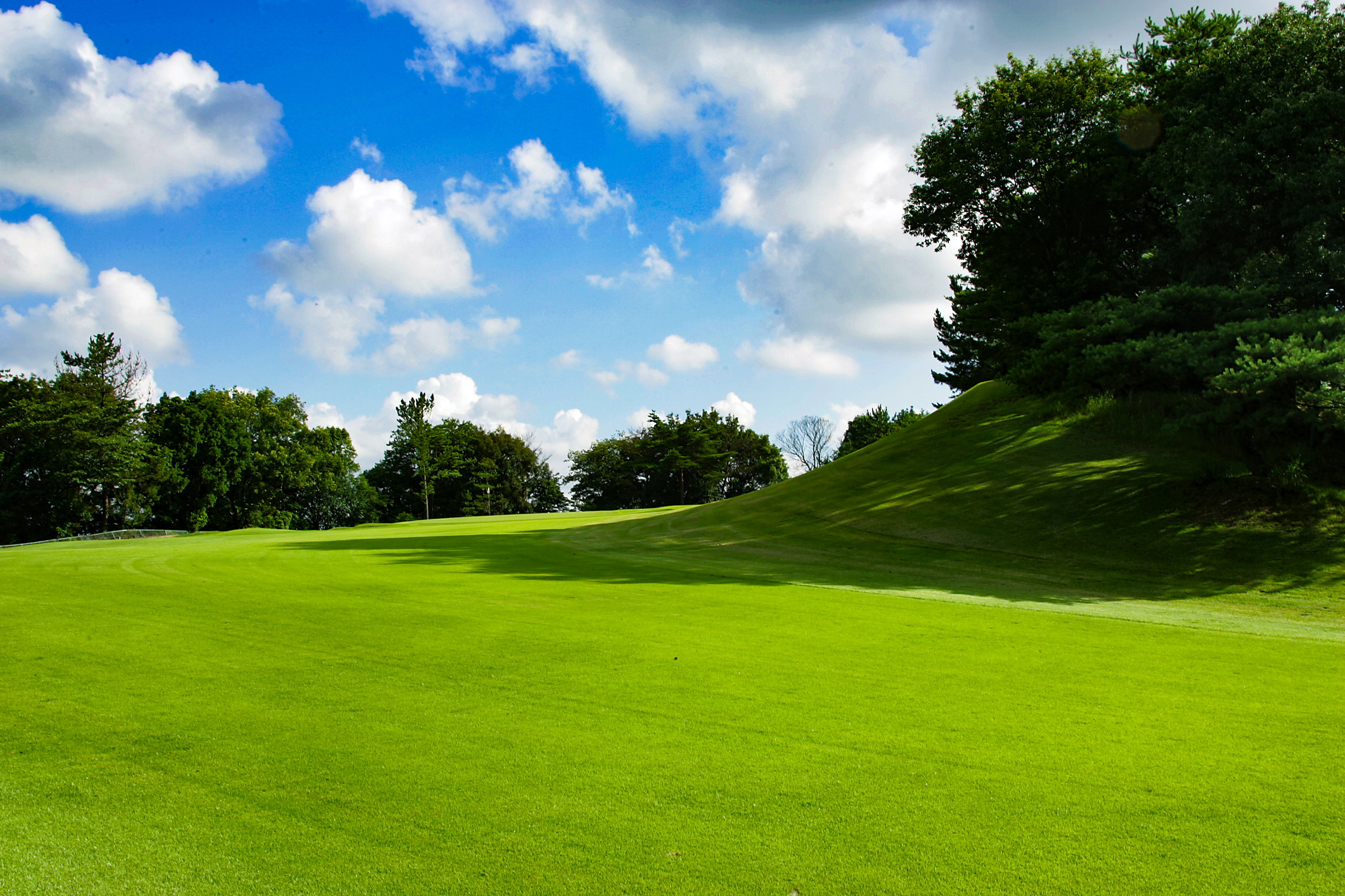 一宮コースNo.6のイメージ