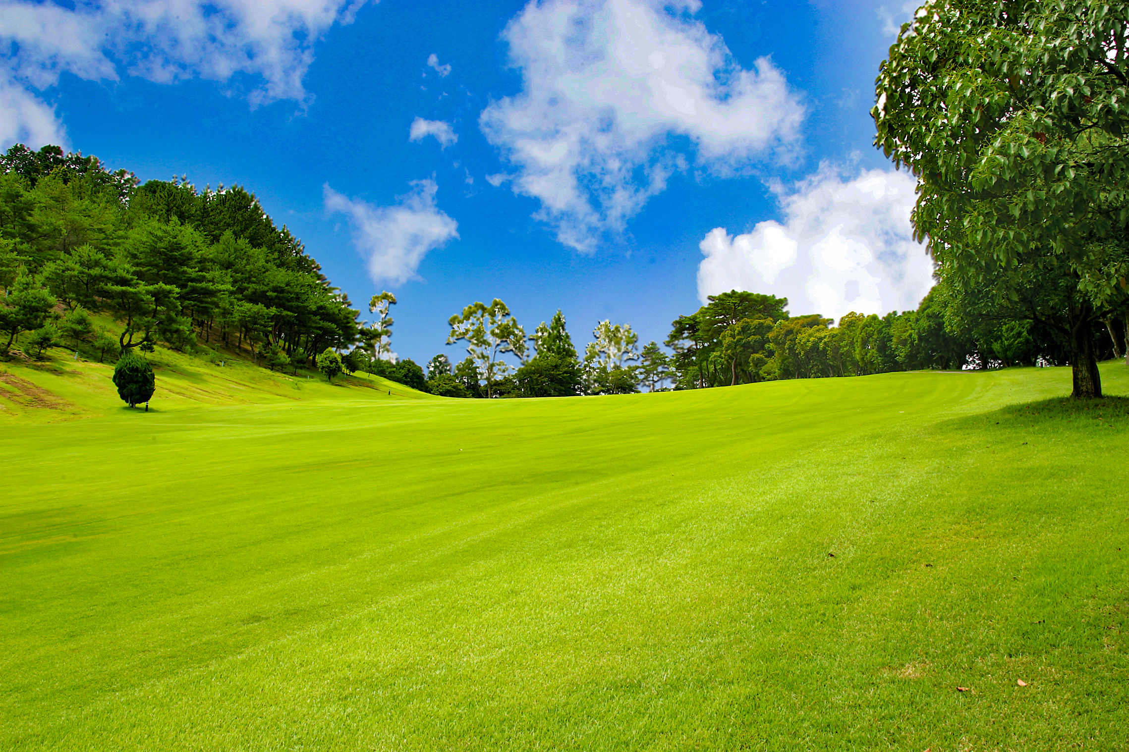 一宮コースNo.8のイメージ