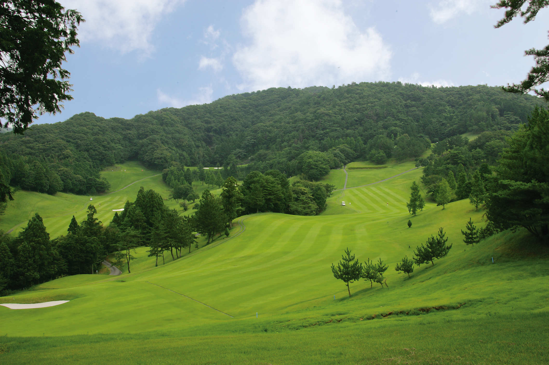 橘コースNo.1のイメージ