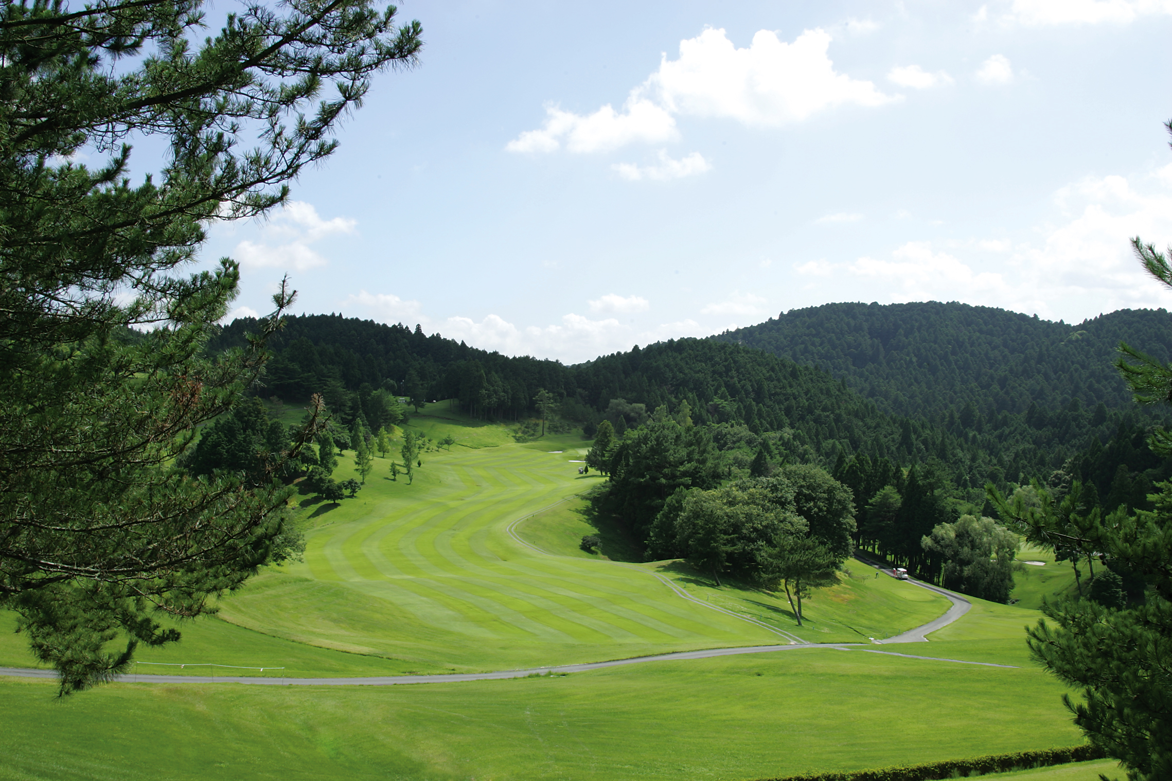 橘コースNo.5のイメージ