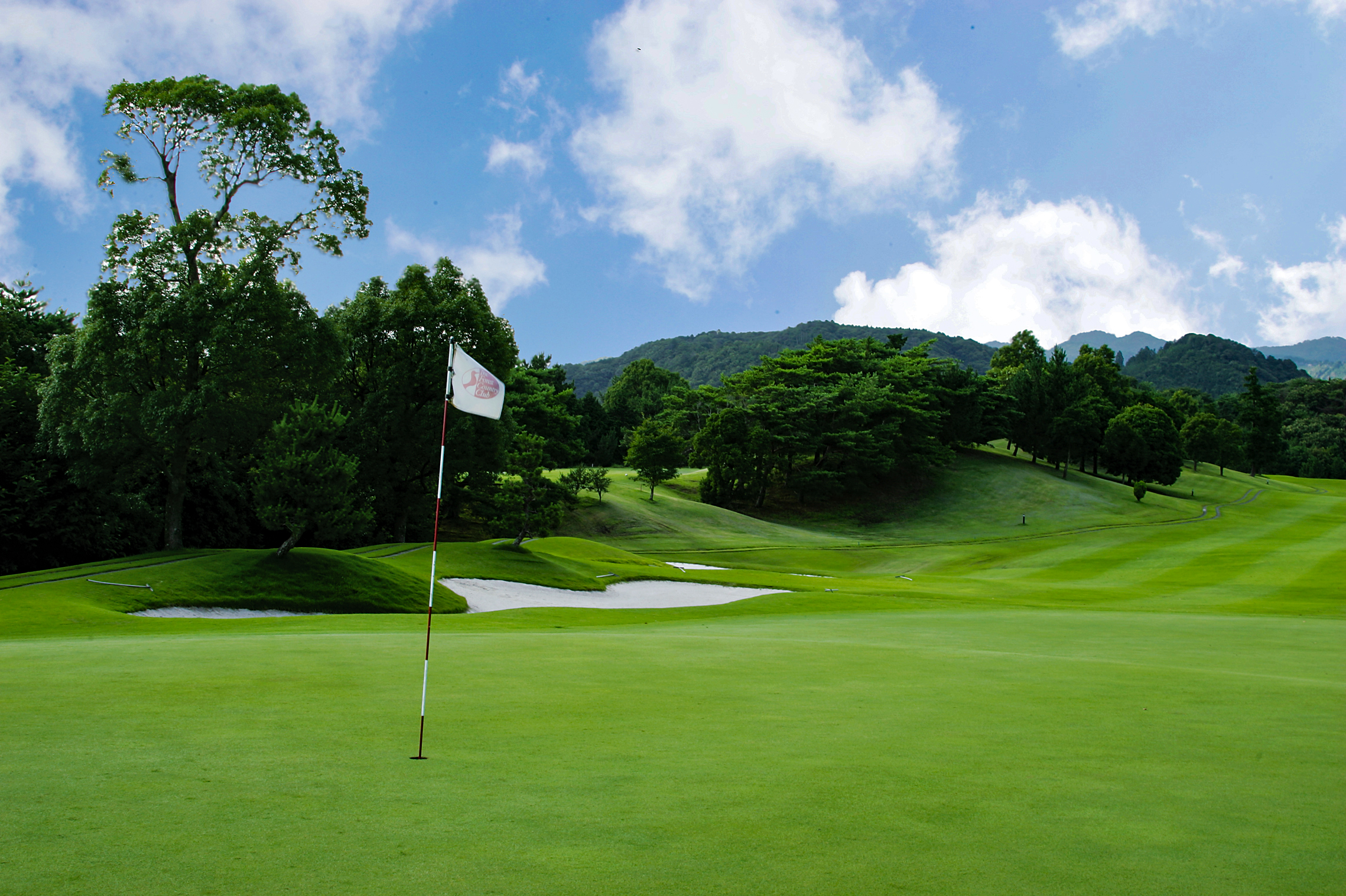 天竜コースNo.1のイメージ