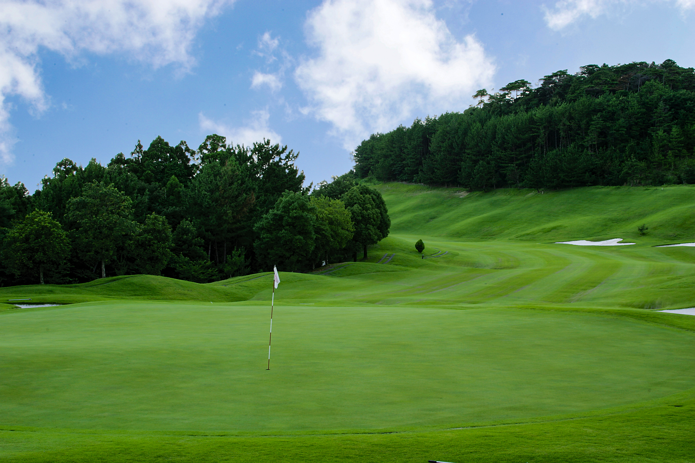 天竜コースNo.2のイメージ