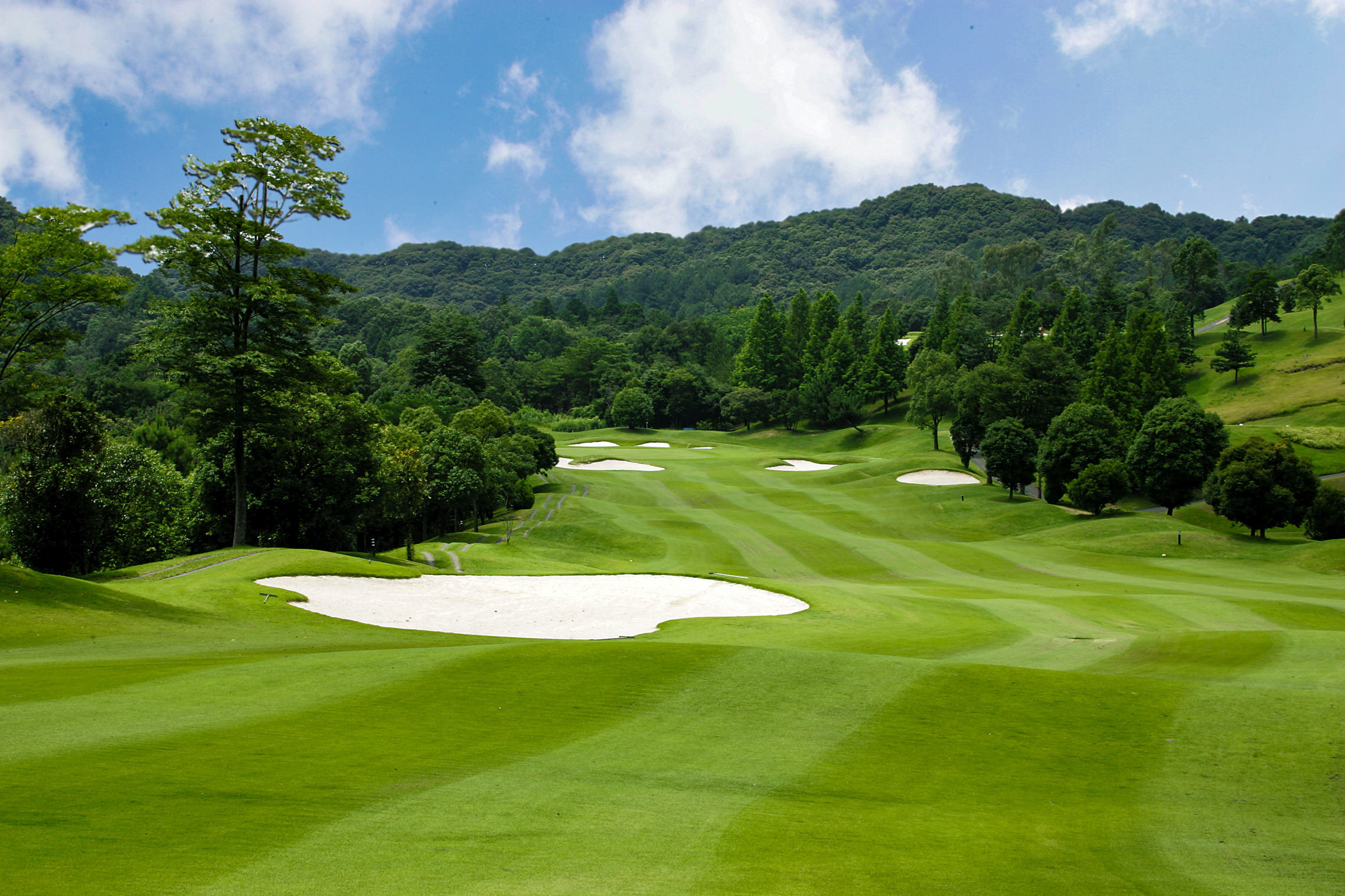 天竜コースNo.3のイメージ