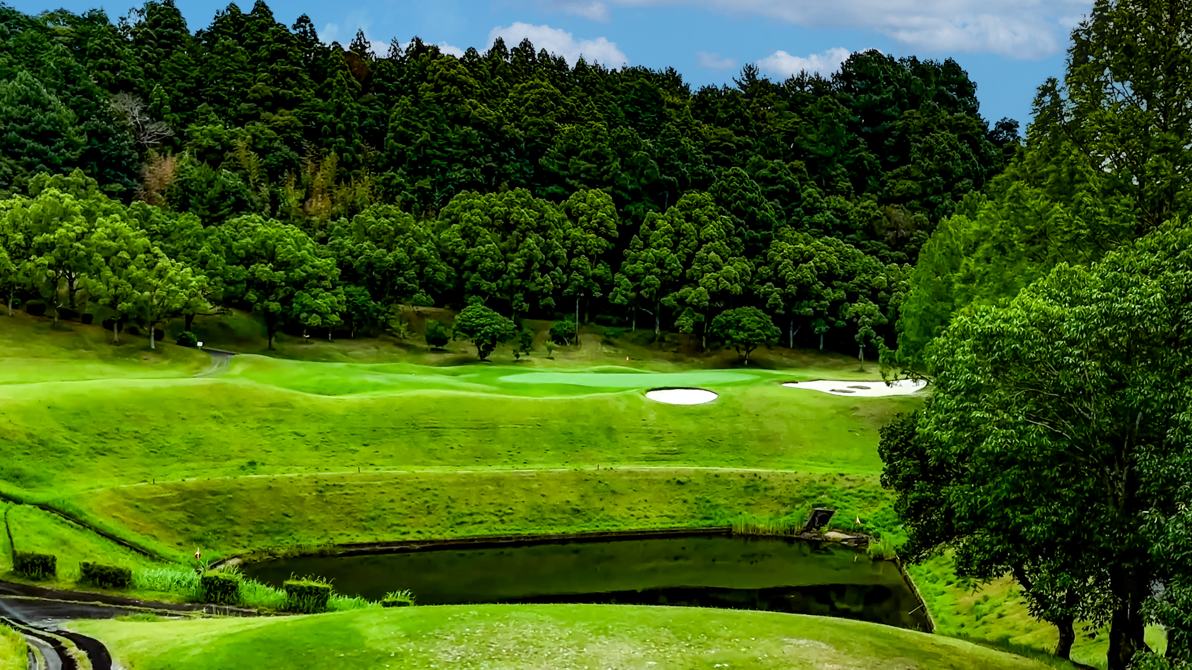 天竜コースNo.4のイメージ