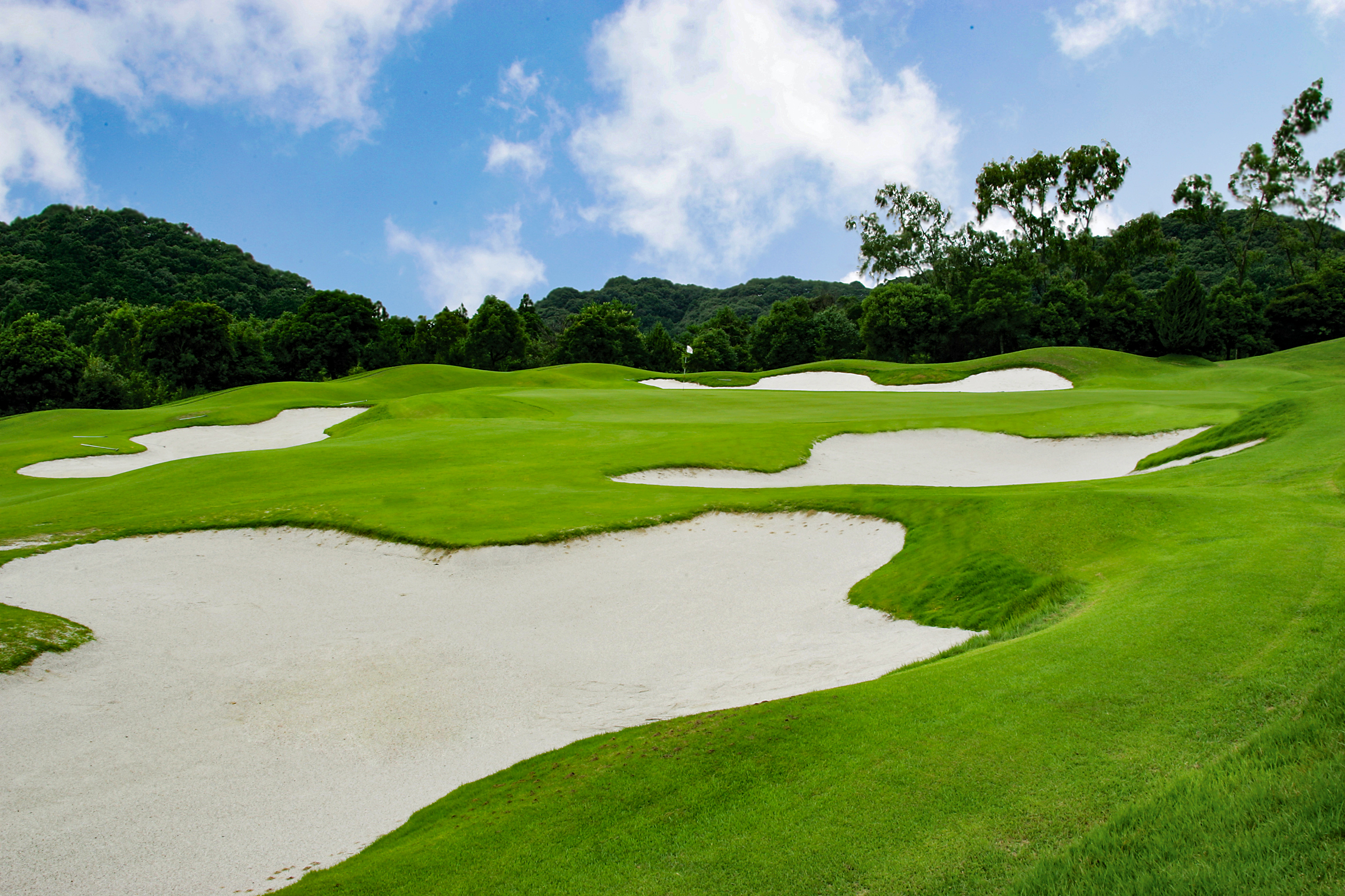 天竜コースNo.5のイメージ