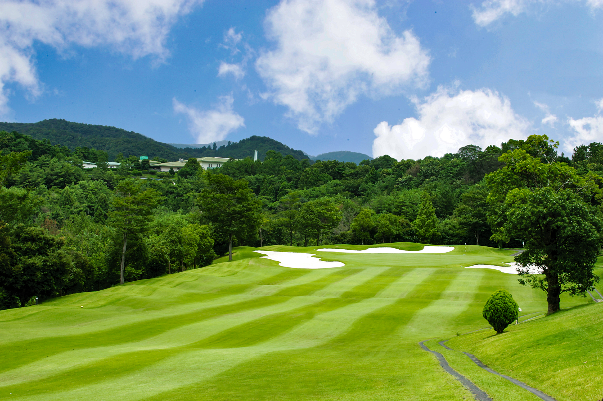 天竜コースNo.6のイメージ